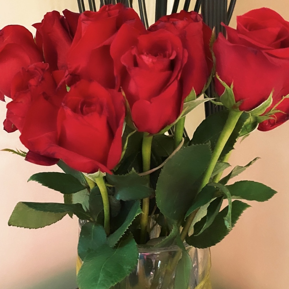 Meet your Posher, Jay